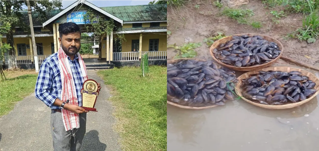 রুলেন হাজারিকা ও তার মুক্তো চাষের শামুক