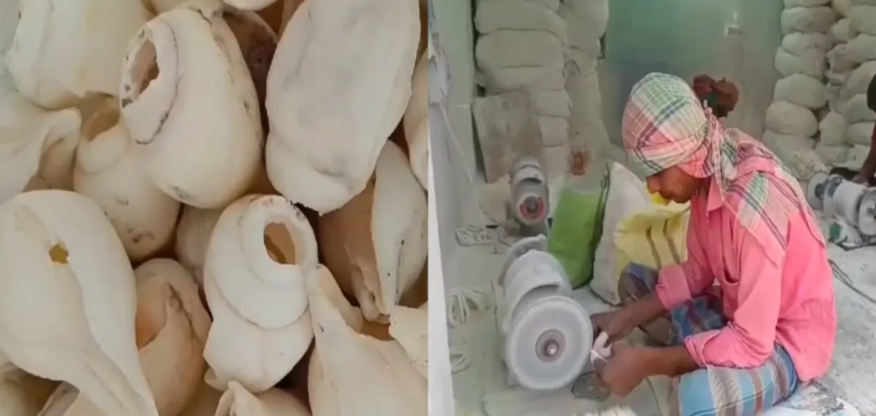 হিন্দু নারীর ‘সৌভাগ্যের প্রতীক’ শাঁখা গড়ে তুলছেন মুসলিম শিল্পীরাই, সাম্প্রদায়িক সম্প্রীতির অনন্য বার্তা বাজিতপুরে