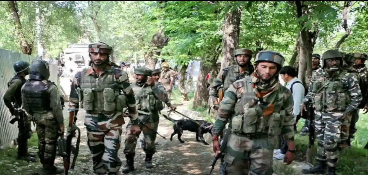 প্রতিনিধিত্বমূলক ছবি