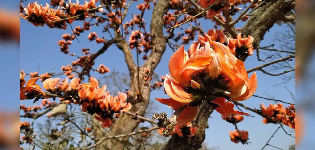 প্রতীকী ছবি