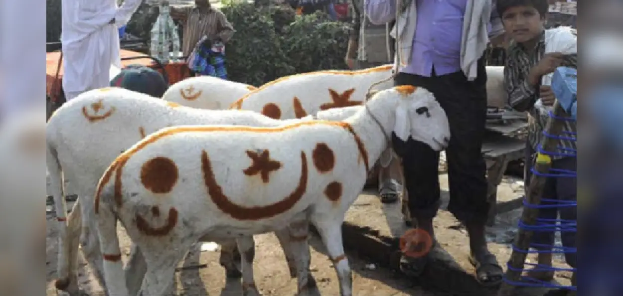 প্রতীকী ছবি