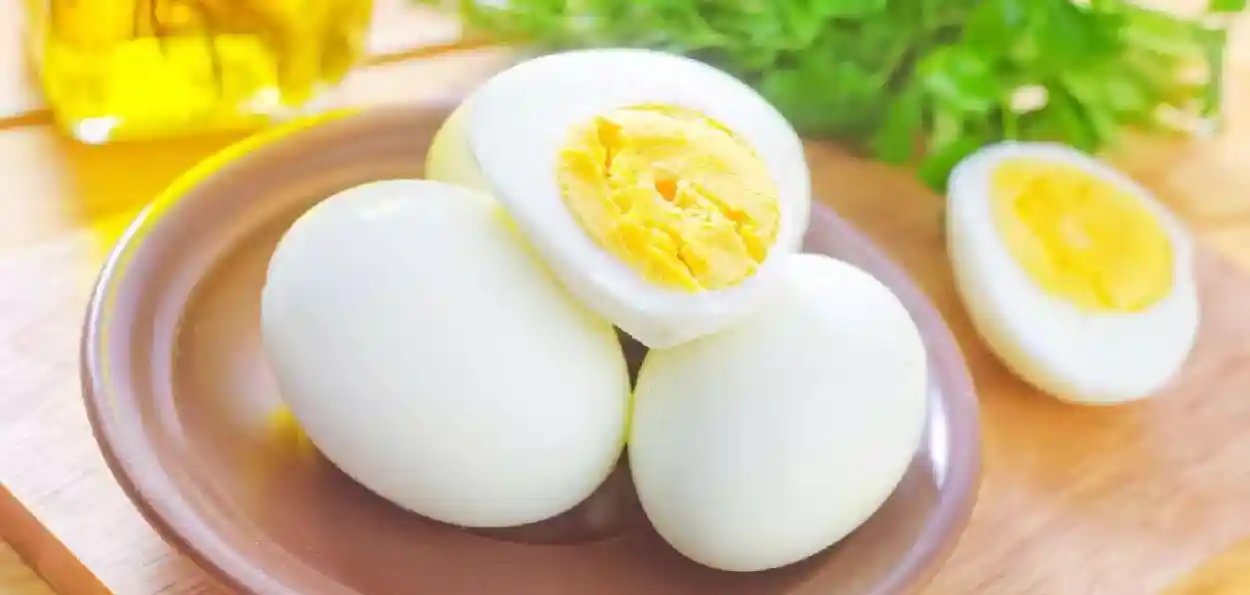 প্রতীকী ছবি