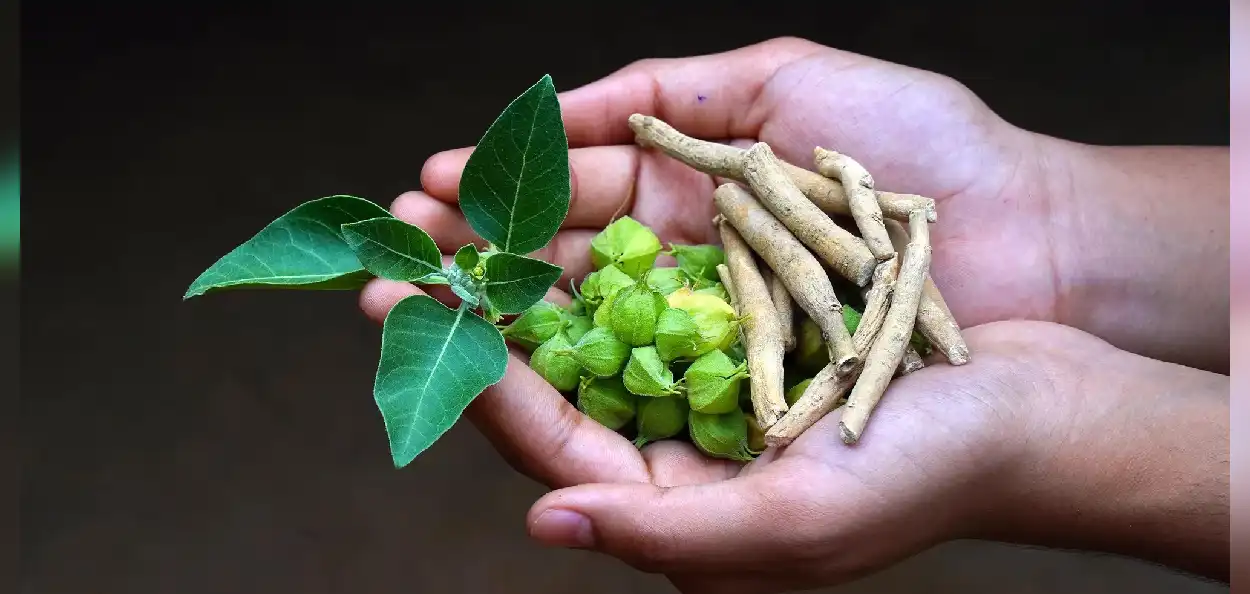 প্রতীকী ছবি