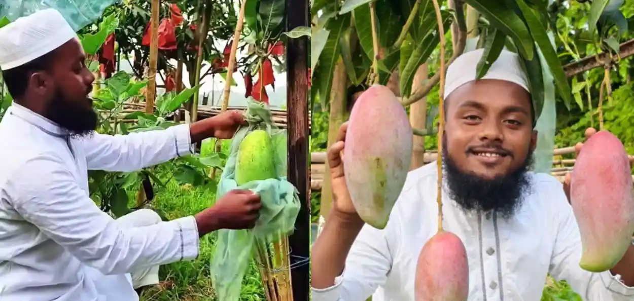 ত্রিপুরার তরুণ কৃষক সবুজ মিয়া