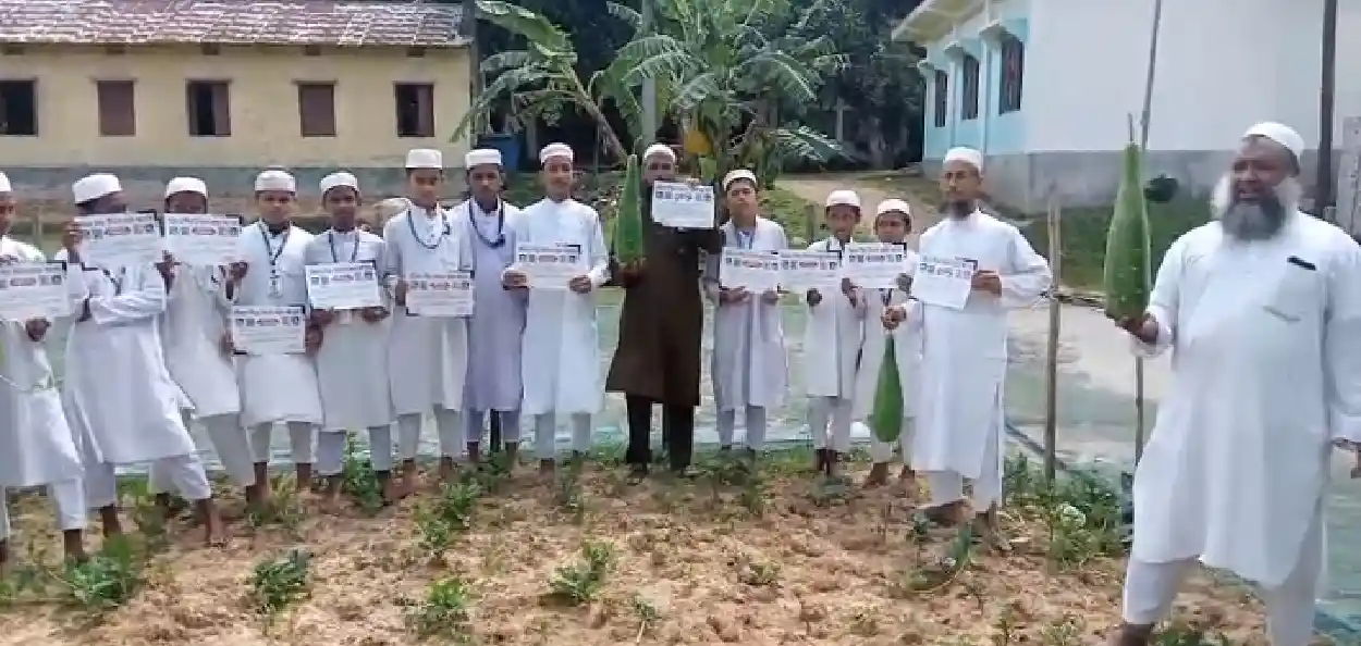শিক্ষক মনোজ রায়ের উদ্যোগে বিদ্যালয়ে এবং মাদ্রাসায় কিচেন গার্ডেন