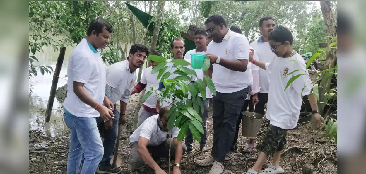 সুন্দরবনের নদীর পাড়ে কী ঘটছে! ইঞ্জিনিয়ারের দল কেন চুপিচুপি তৈরি করছেন প্রাকৃতিক দেওয়াল, সীমান্তে রাতারাতি এ কিসের প্রস্তুতি?