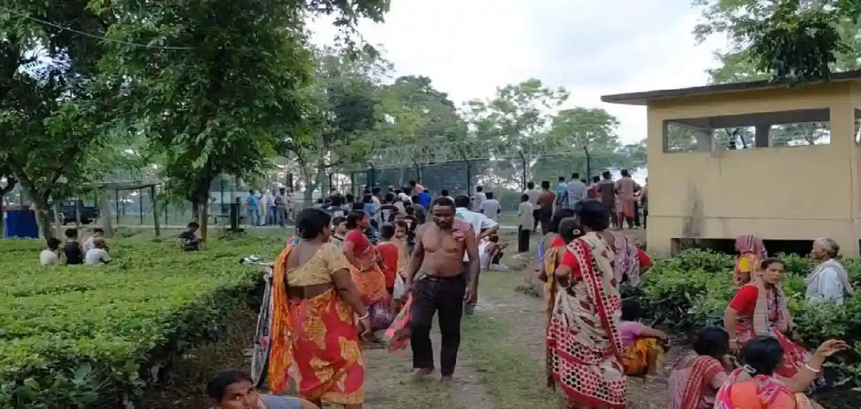 সীমান্তে চাঞ্চল্য: রাজগঞ্জে চা-চাষিকে অপহরণের অভিযোগ, বাংলাদেশি অনুপ্রবেশের ঘটনার পর বাড়ল উদ্বেগ