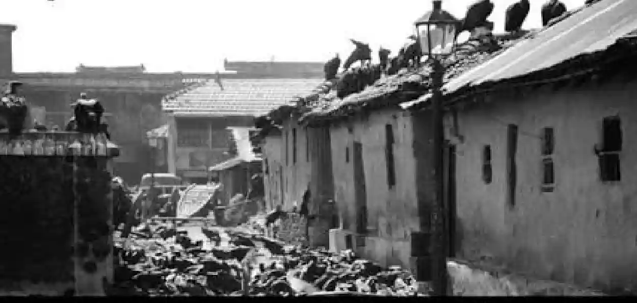 ১৬ আগস্টের কালো অধ্যায়: ‘দ্য গ্রেট ক্যালকাটা কিলিংস’-এর রক্তাক্ত স্মৃতি