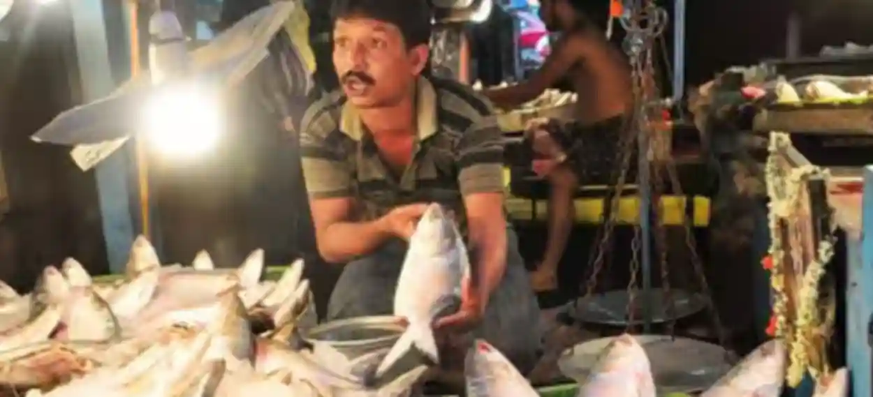 বাংলাদেশে এবার ‘উলটপুরাণ’, ভারত থেকে গেল ৫০০ টন ইলিশ