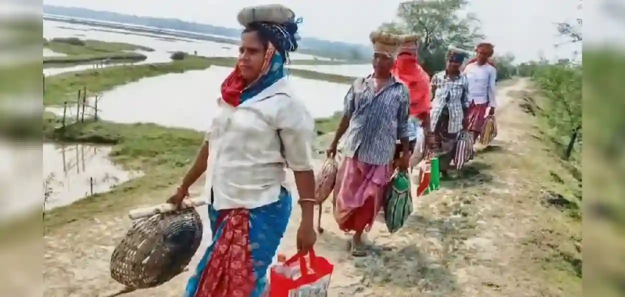 ধর্ম আলাদা, স্বস্তি এক! পুজোর মুখে হিঙ্গলগঞ্জে ফিরল কাজ, ১২৫ দিনের কর্মসংস্থানে হাসি হিন্দু-মুসলিমের মুখে