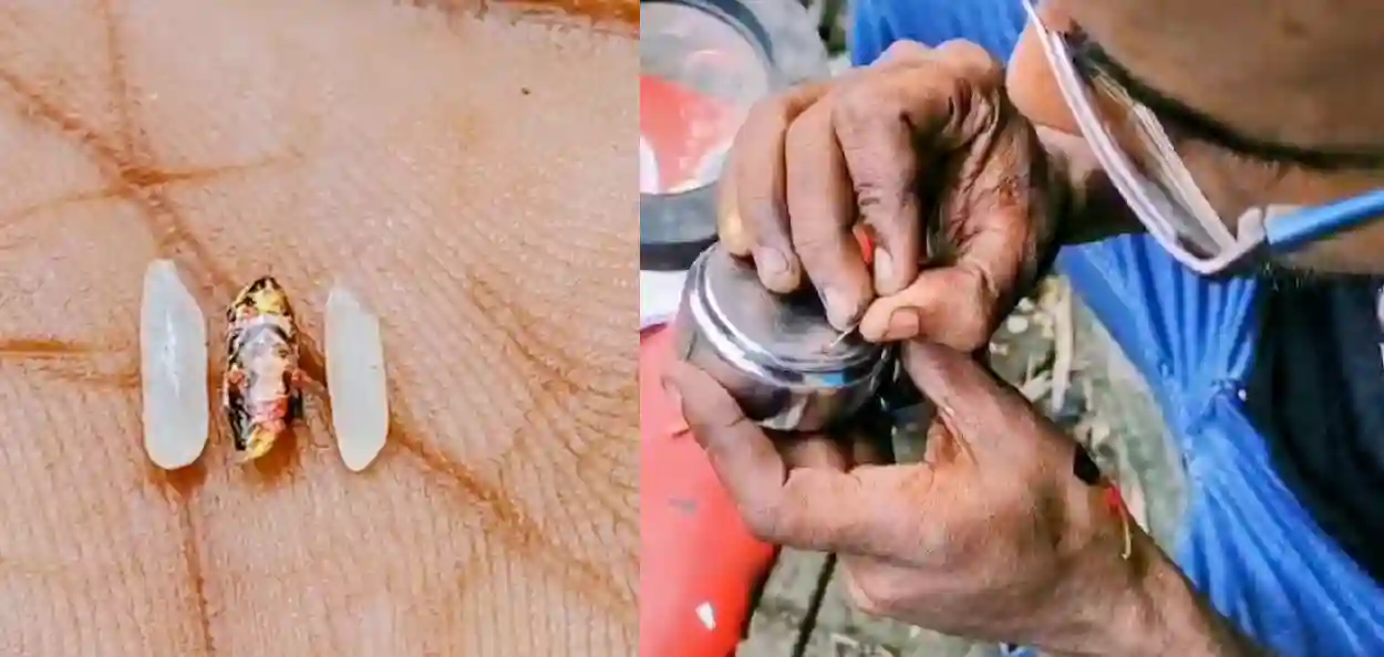 এও কি সম্ভব! চালের দানায় মা দুর্গা, চোখের পলক ফেললেই মিস, ৬ দিনের সাধনায় তাক লাগালেন দুর্গাপুরের ছোটন
