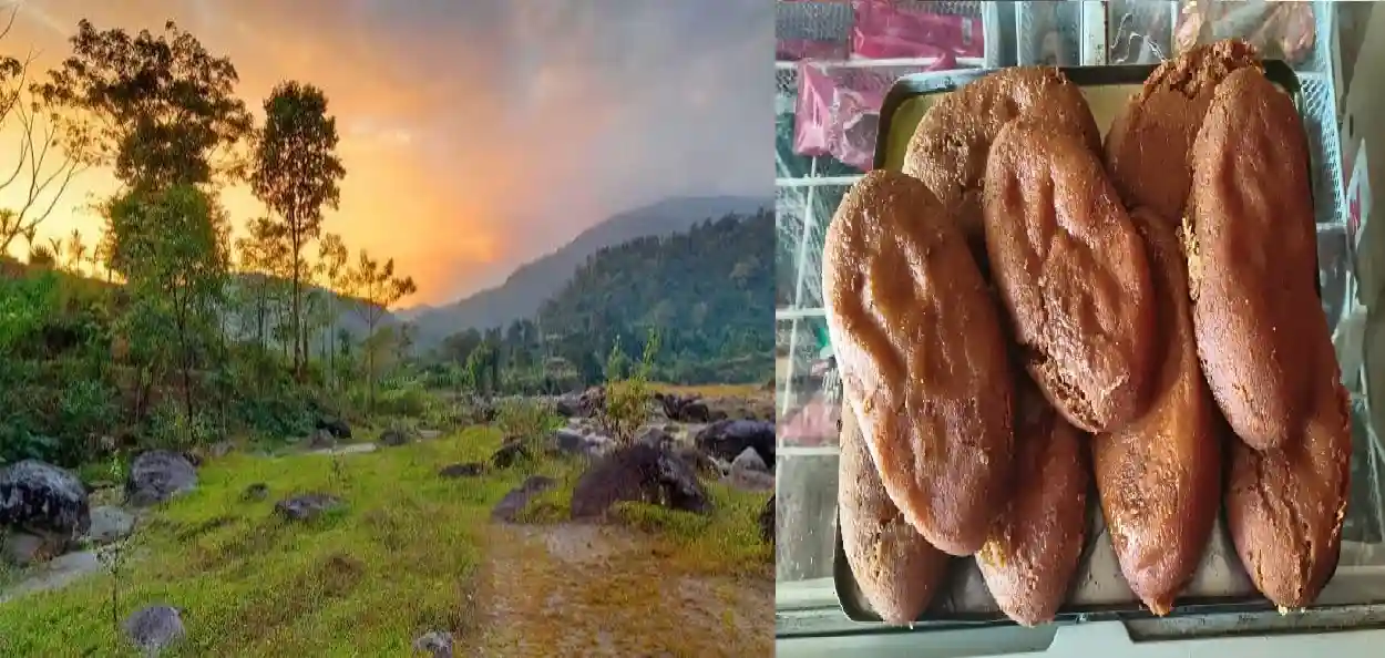 জঙ্গল সাফারির পর ‘পেল্লাই’ চমচমের স্বাদ! ডুয়ার্সে পর্যটকদের নতুন আকর্ষণ লাটাগুড়ির এক কেজির মিষ্টি